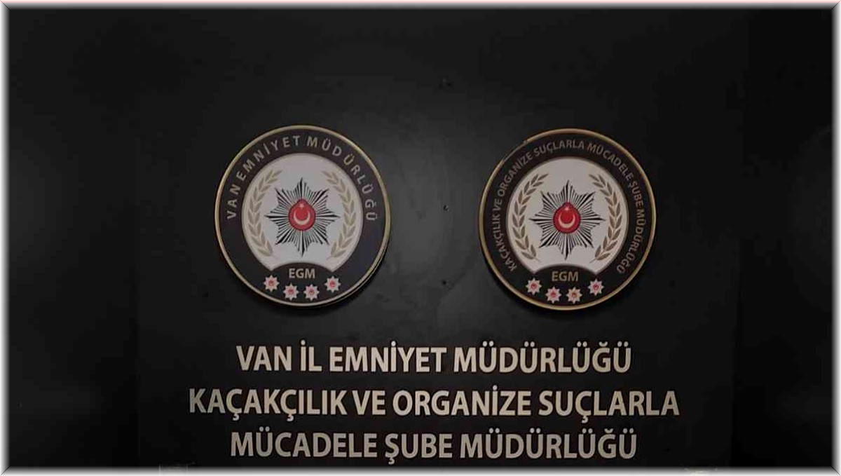 Van'da gümrük kaçakçılığı operasyonu