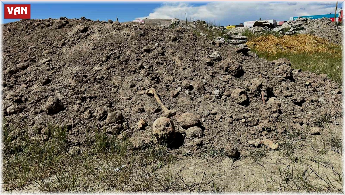 Van'da hafriyat atıkları arasında insan kemikleri bulundu