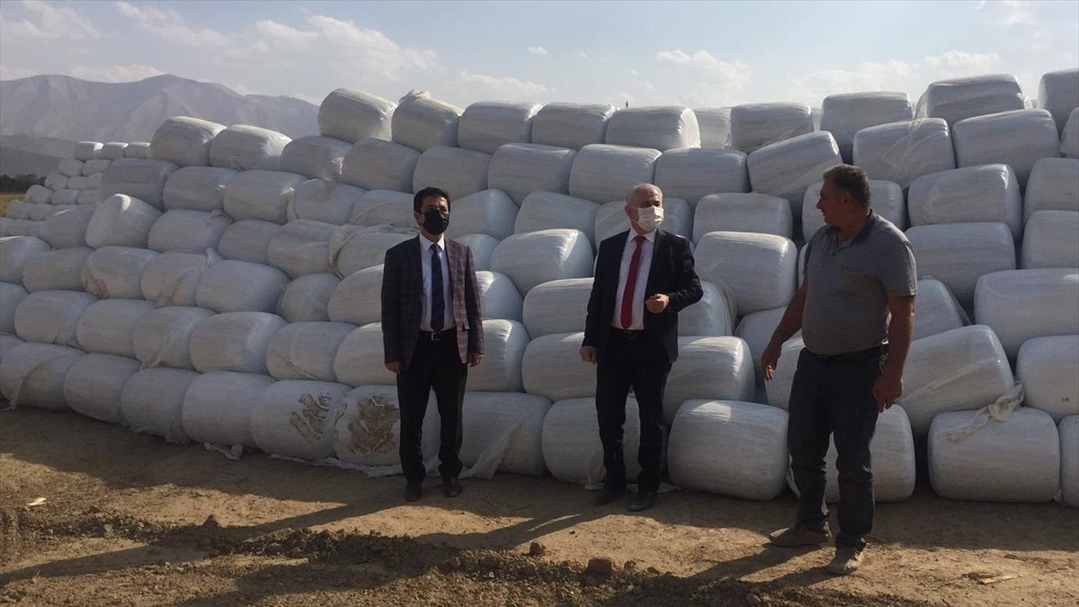 Van'da hasadı yapılan silajlık mısır paketleniyor