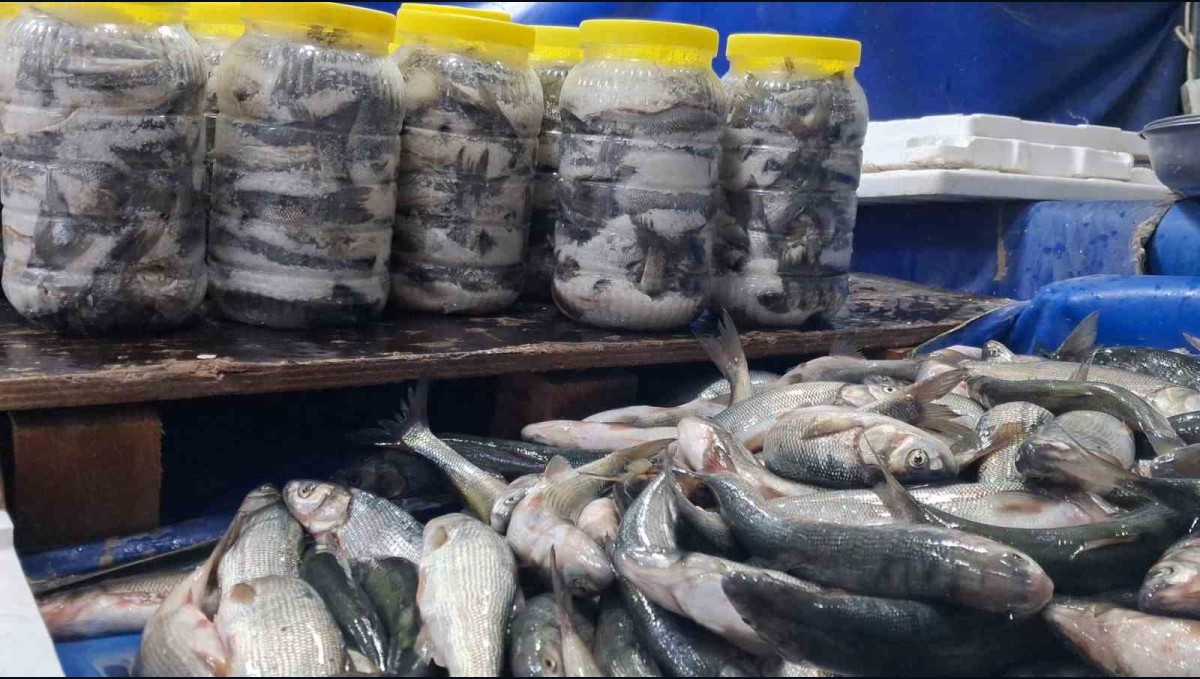 Van'da havaların soğumasıyla inci kefaline ilgi arttı