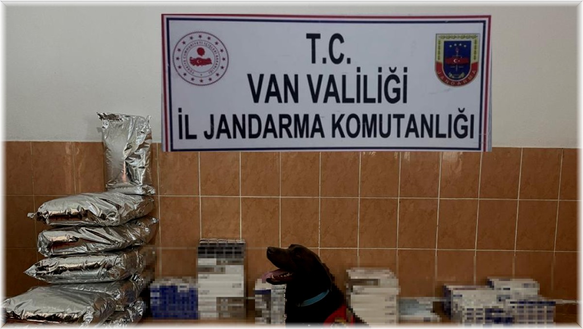 Van'da iki ayda 12 bin 438 paket kaçak sigara ele geçirildi