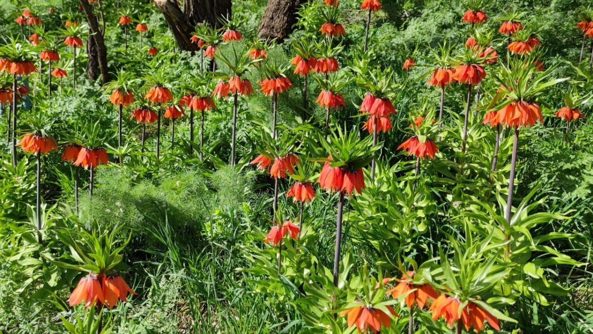 Van'da iki mevsim bir arada