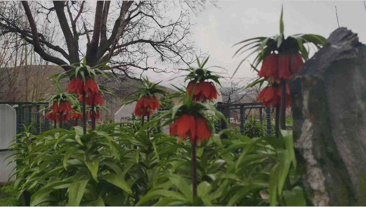 Van'da iki mevsim bir arada