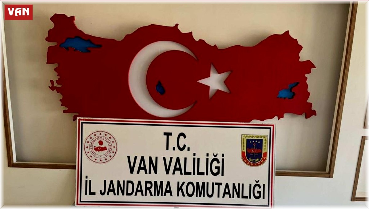 Van'da internetten tarihi eser satmaya çalışan kişi yakalandı