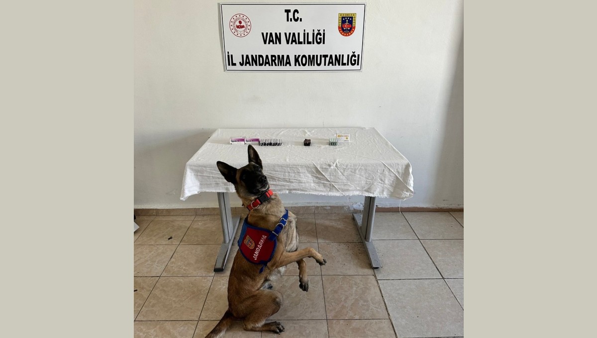 Van'da İran uyruklu şahsın üzerinden 380 adet sentetik hap ele geçirildi