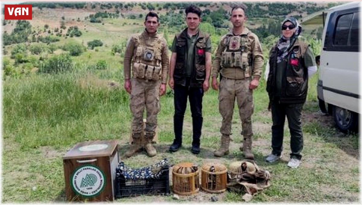 Van'da kaçak avcılardan ele geçirilen keklikler doğaya bırakıldı
