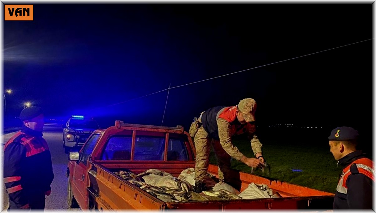 Van'da kaçak avlanan 1 ton inci kefali ele geçirildi