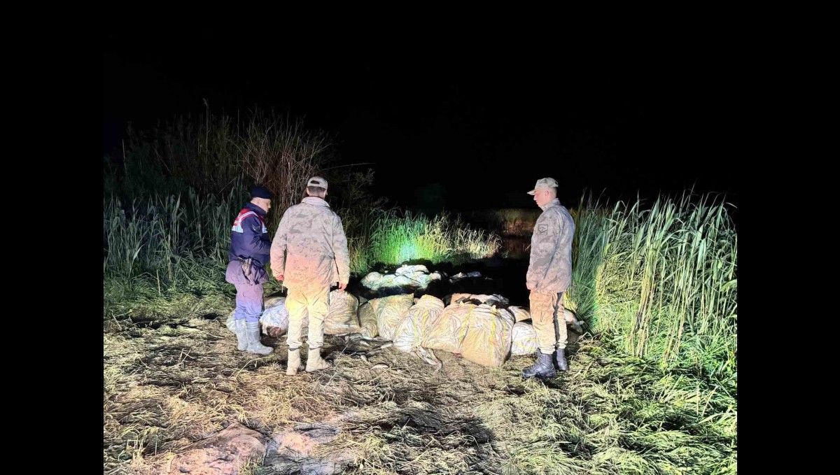 Van'da kaçak avlanmış 15 ton inci kefali ele geçirildi