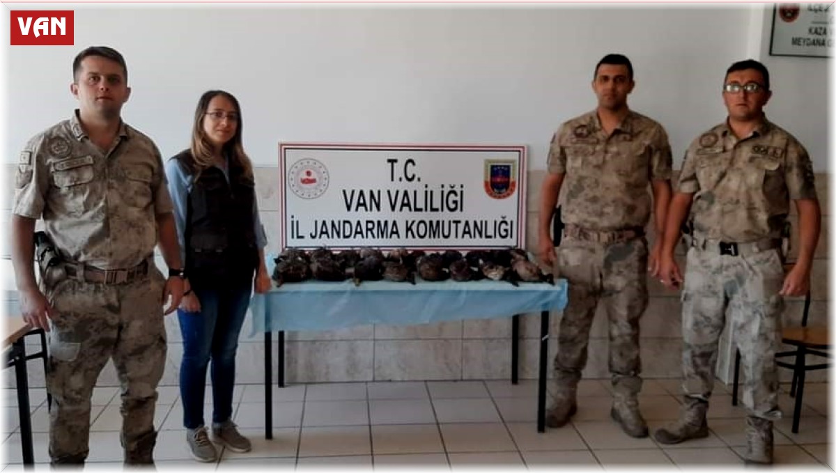 Van'da kaçak olarak yaban ördeği avlayanlara ceza