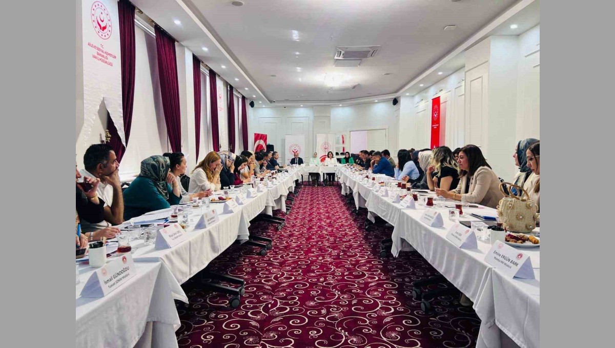 Van'da 'Kadın Hizmetleri Bölgesel İstişare Toplantısı' yapıldı