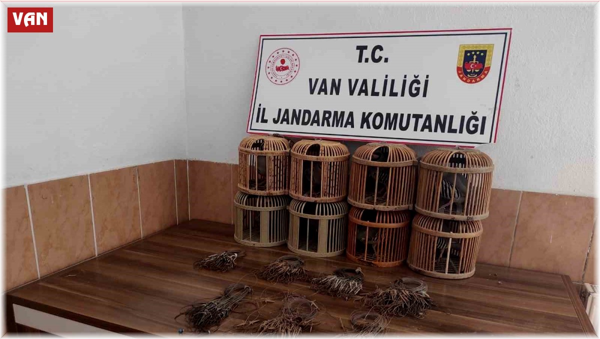 Van'da kafes avcılığı