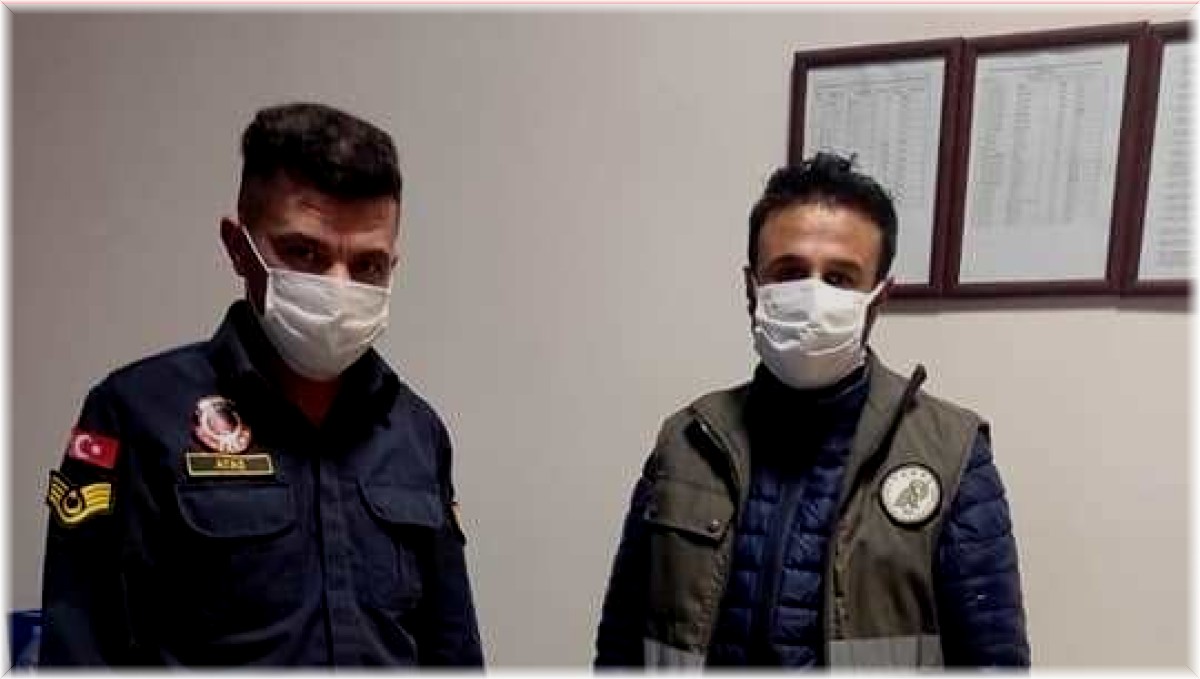 Van'da kafes avcılığı