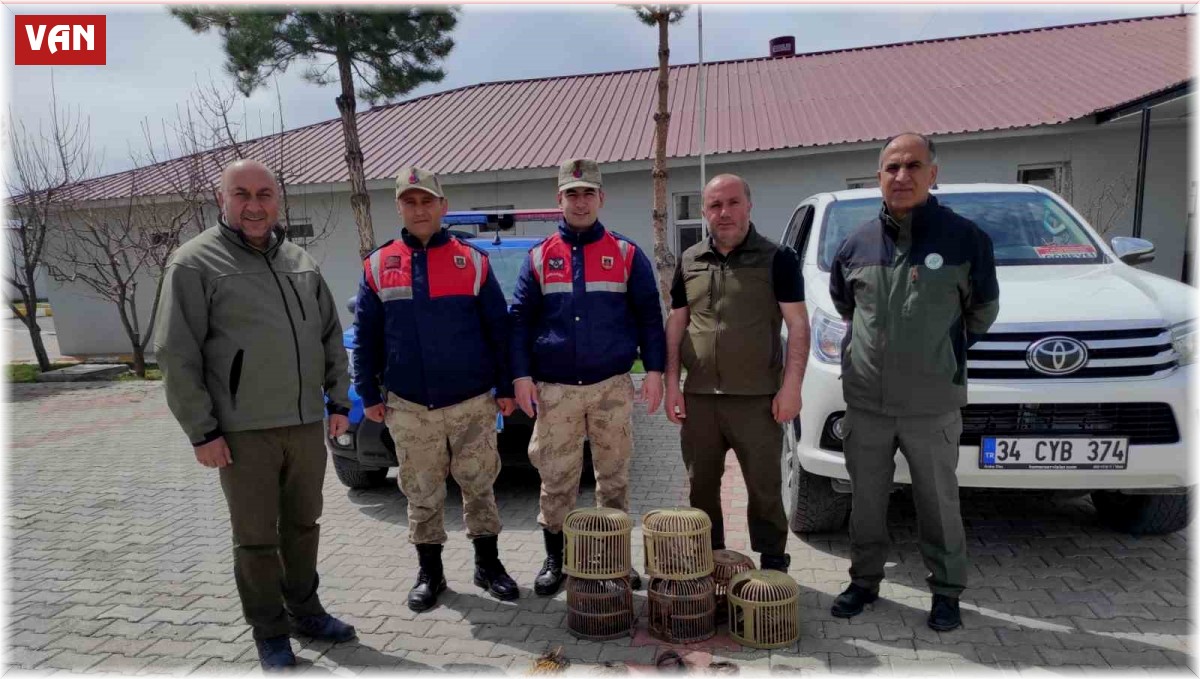 Van'da kafes avcılığı yapan 4 kişi jandarmaya takıldı