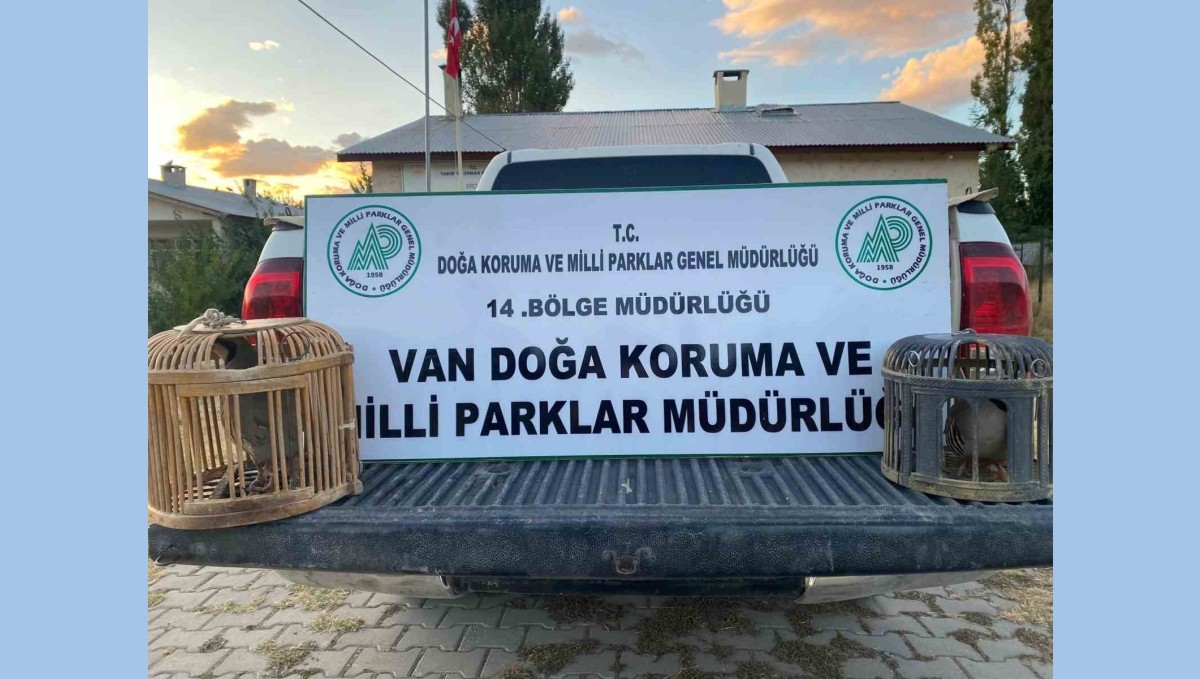 Van'da kafes avcılığı yapan şahsa 48 binlira cezai işlem uygulanacak