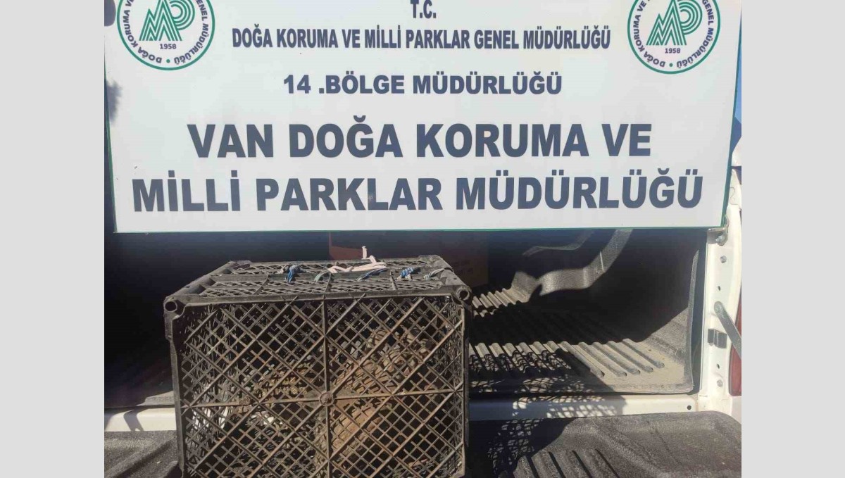 Van'da kafes avcılığı yapan şahsa 53 bin lira cezai işlem uygulanacak