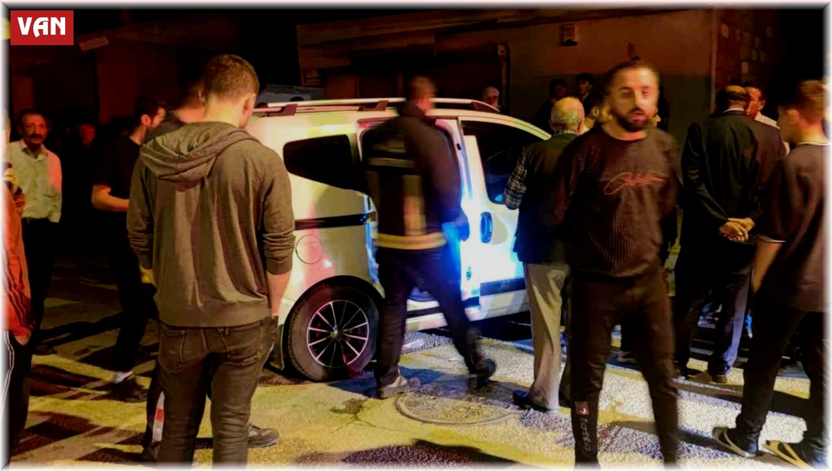 Van'da kamyonet kaldırıma çarptı: 3 yaralı