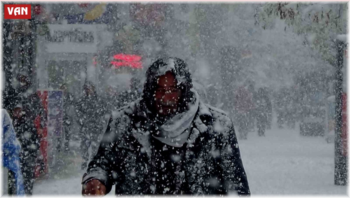 Van'da kar manzarası