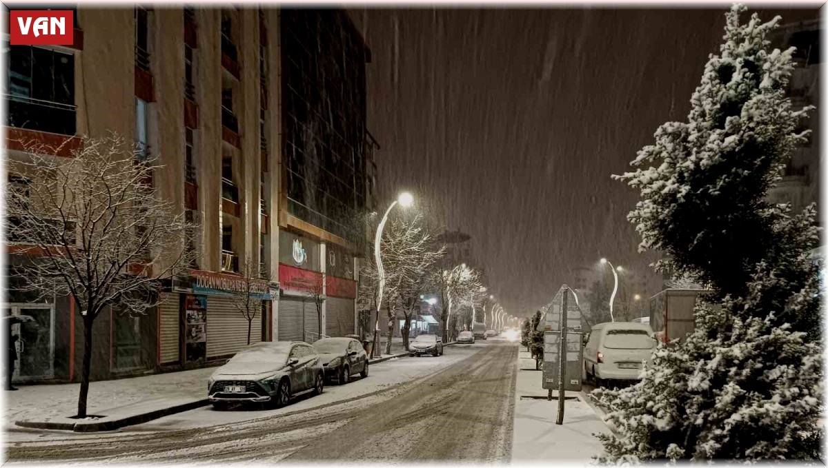 Van'da kar yağışı