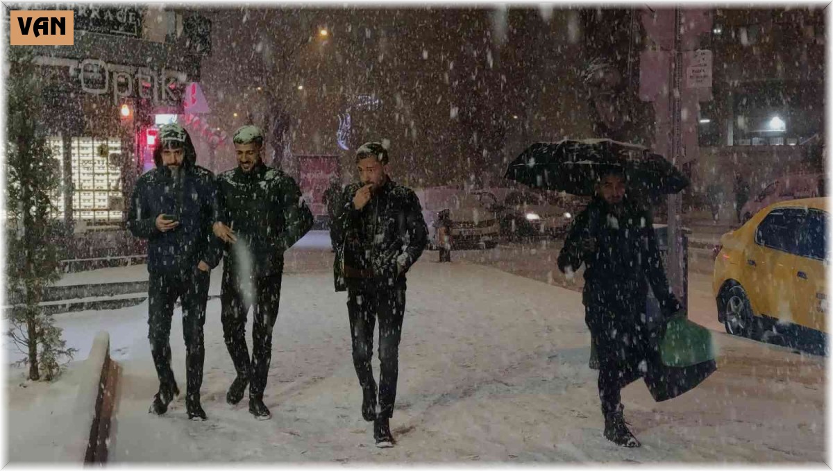 Van'da kar yağışı