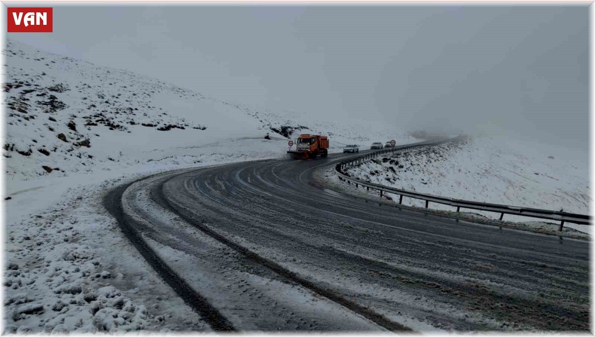 Van'da kar yağışı etkili oldu