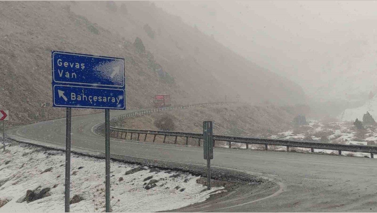 Van'da kar yağışı etkili oldu