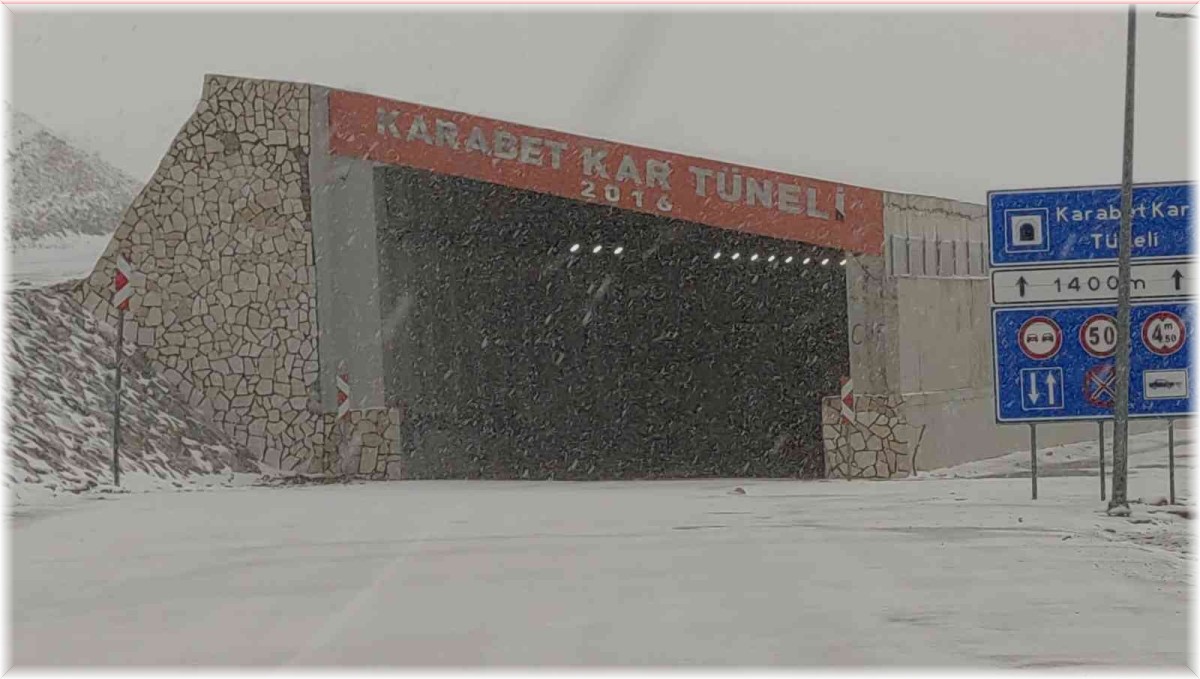 Van'da kar yağışı ve sis