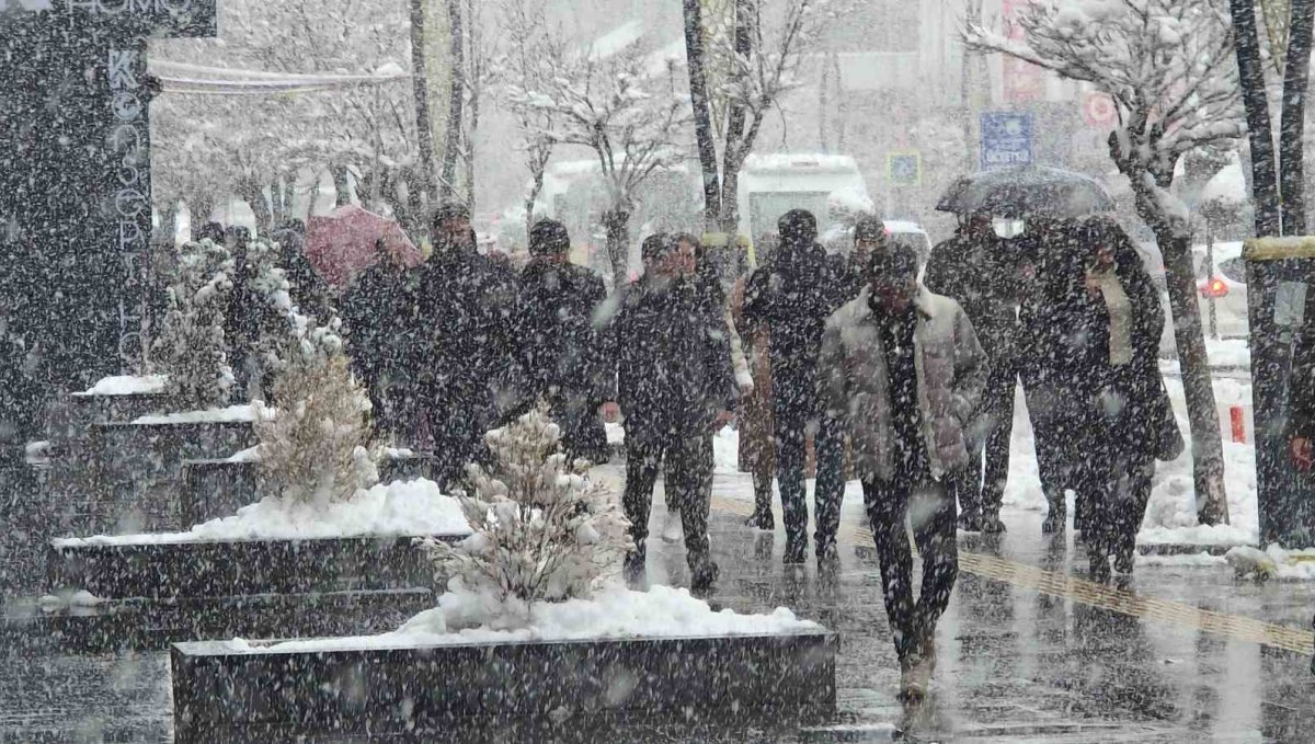 Van'da kar yağışı ve sis etkili oluyor