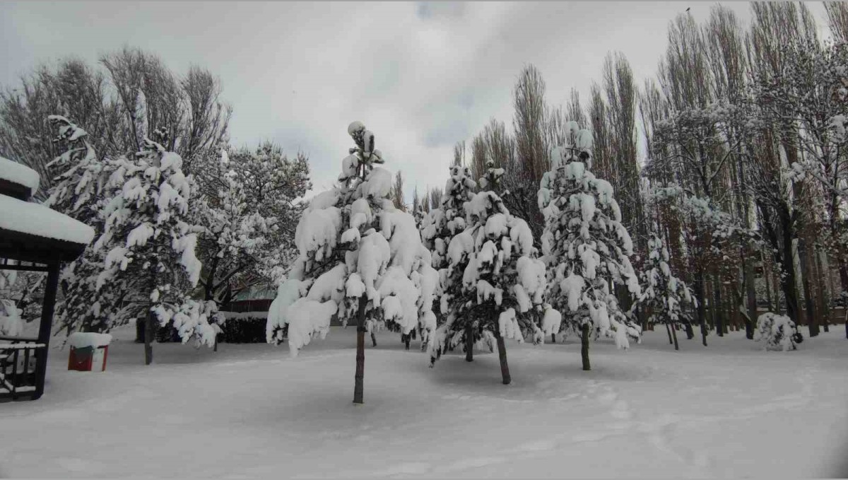 Van'da karla gelen güzellik: Ağaçlar kartpostallık manzaralar oluşturdu