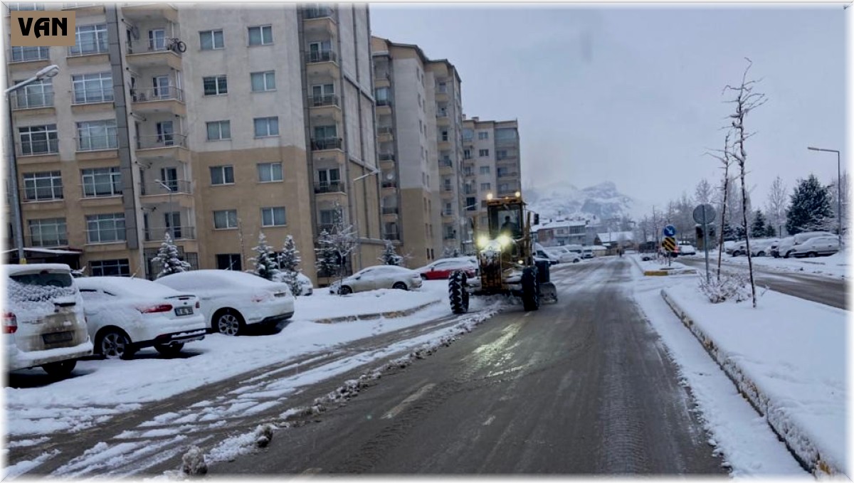 Van'da karla mücadele çalışması