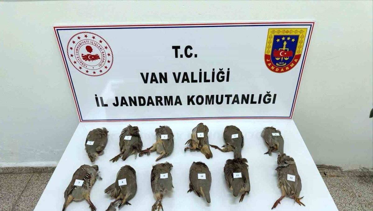Van'da keklik avlayan kişiye 81 bin TL ceza