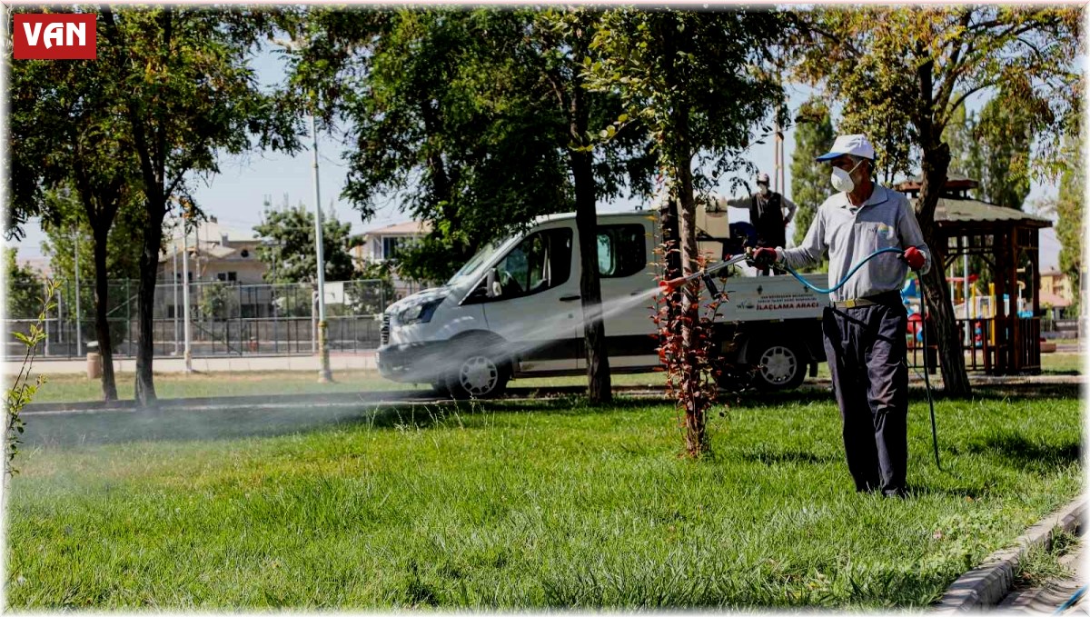 Van'da kent zararlılarına karşı ilaçlama çalışması