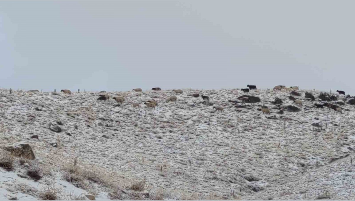 Van'da kış yüzünü gösterdi: Erek Dağı ve çevresi beyaza büründü