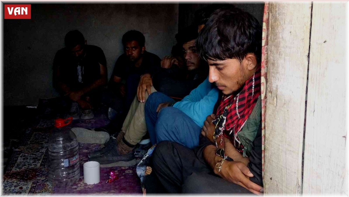 Van'da kömürlükte 13 göçmen yakalandı