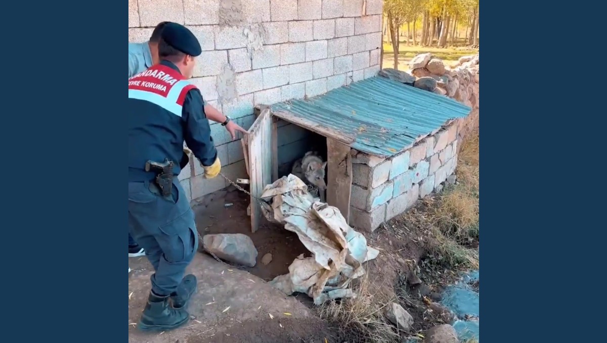 Van'da kurdu zincirle bağlayan şahsa 81 bin 355 TL para cezası