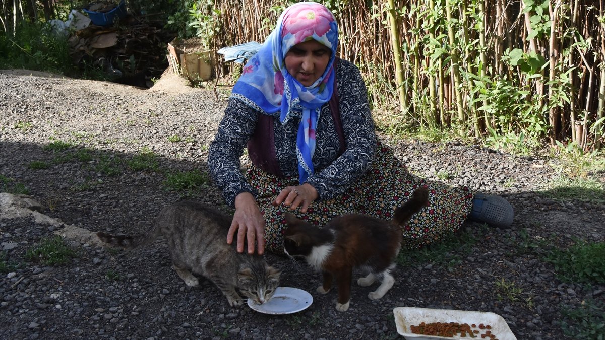 Van'da kurulan jeotermal sera 50 kişiye iş kapısı oldu