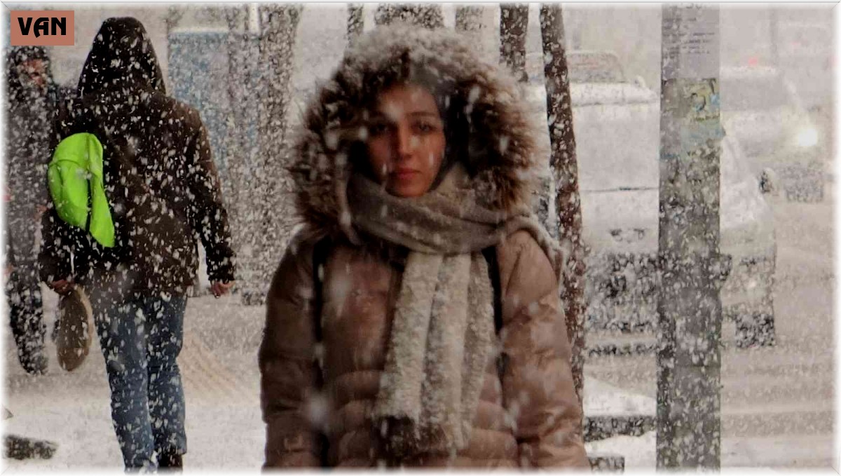 Van'da lapa lapa kar yağışı