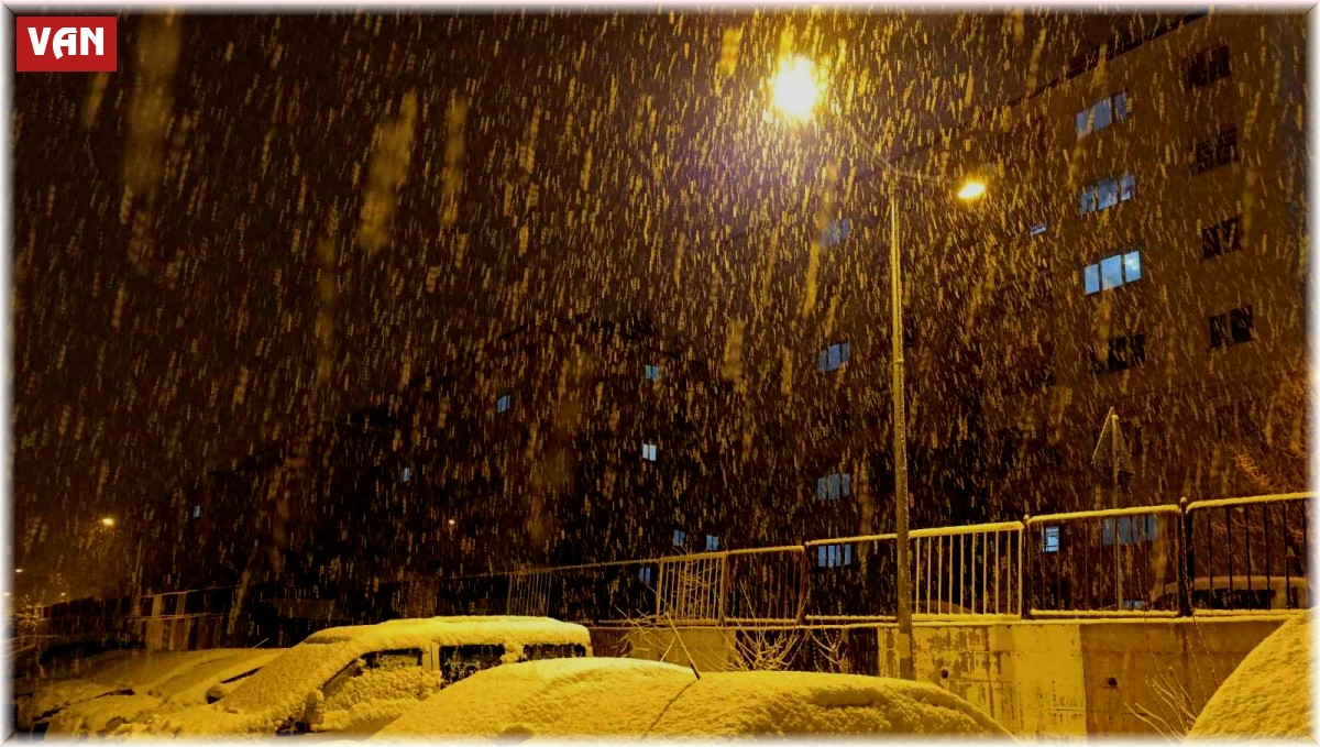 Van'da mart ayında lapa lapa kar yağdı