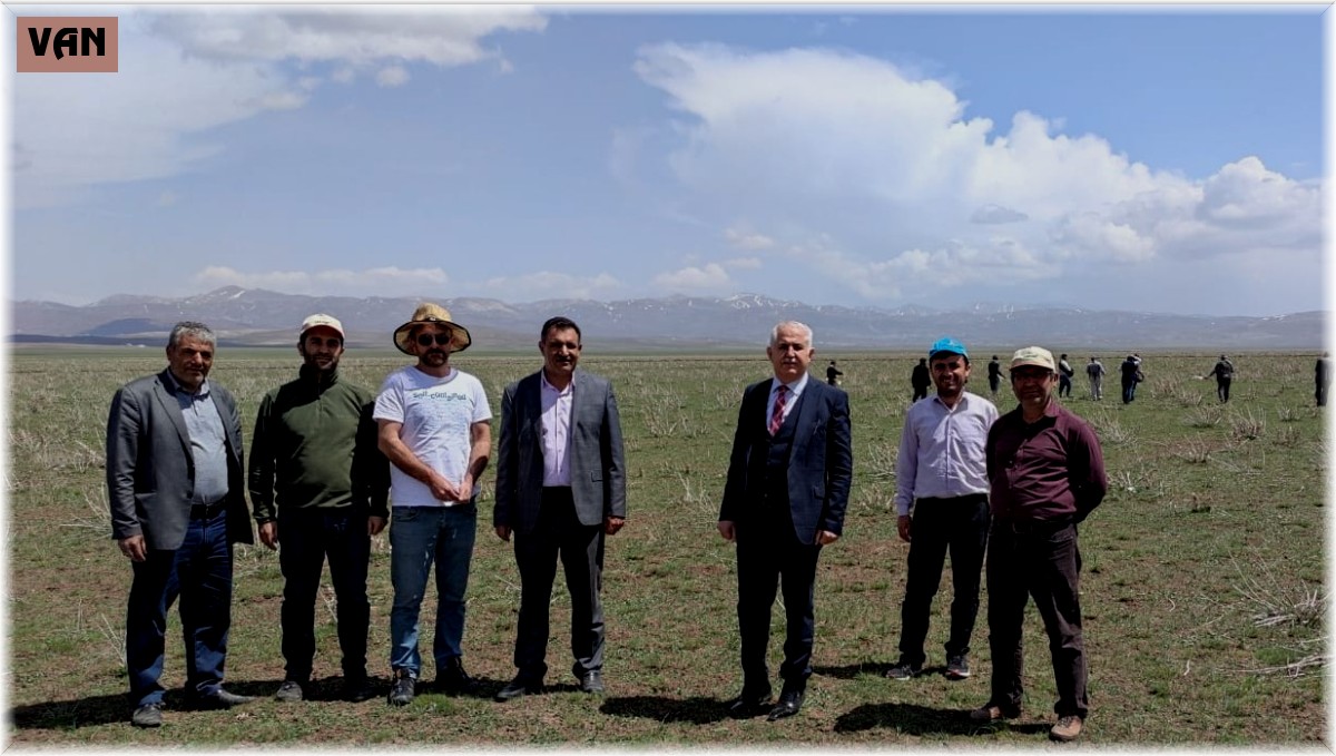 Van'da meralar ıslah ediliyor