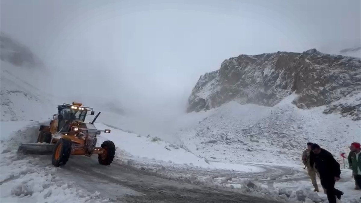 Van'da mevsimin ilk karı ulaşımda aksamaya neden oldu