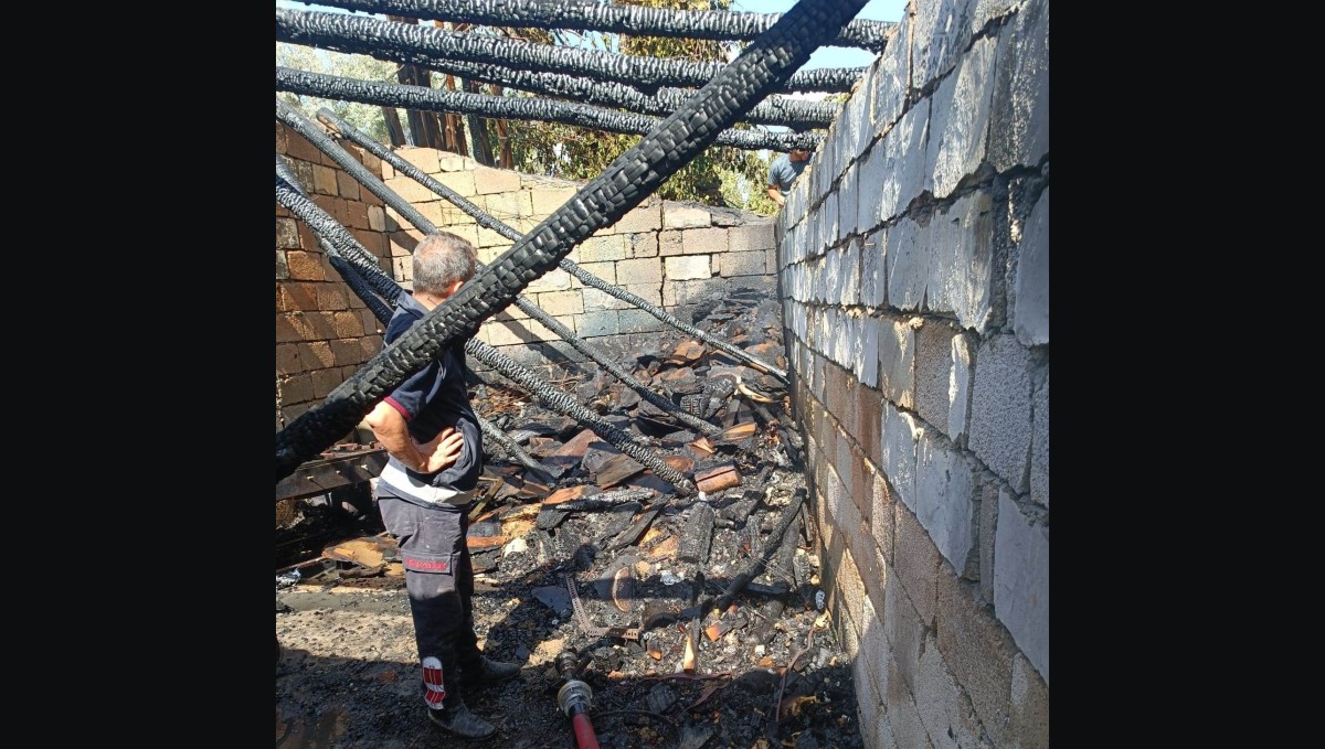 Van'da odunluk yangını