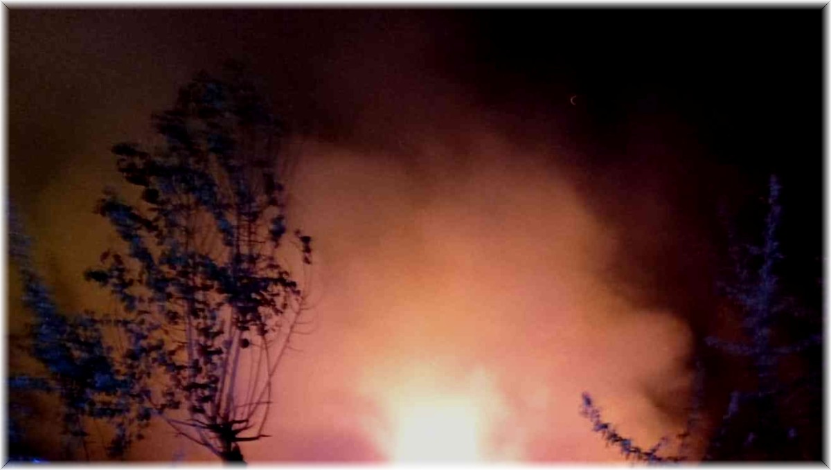 Van'da odunluk yangını