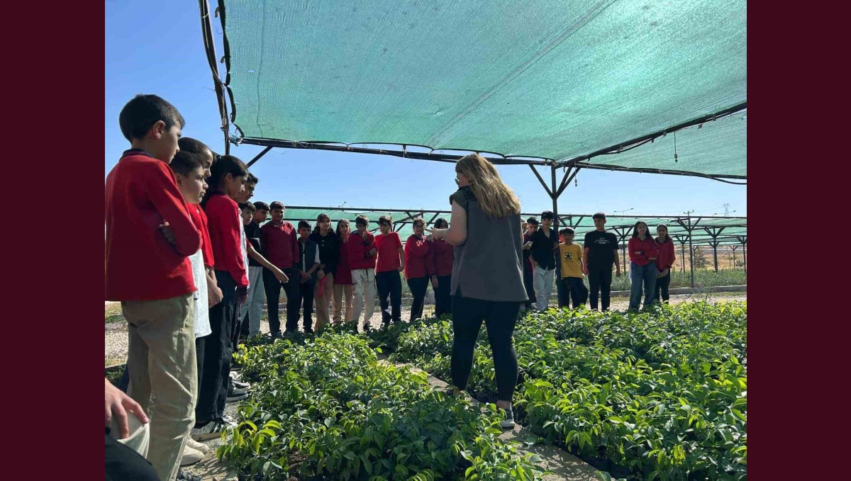 Van'da öğrenciler doğa bilinci için fidan dikecek