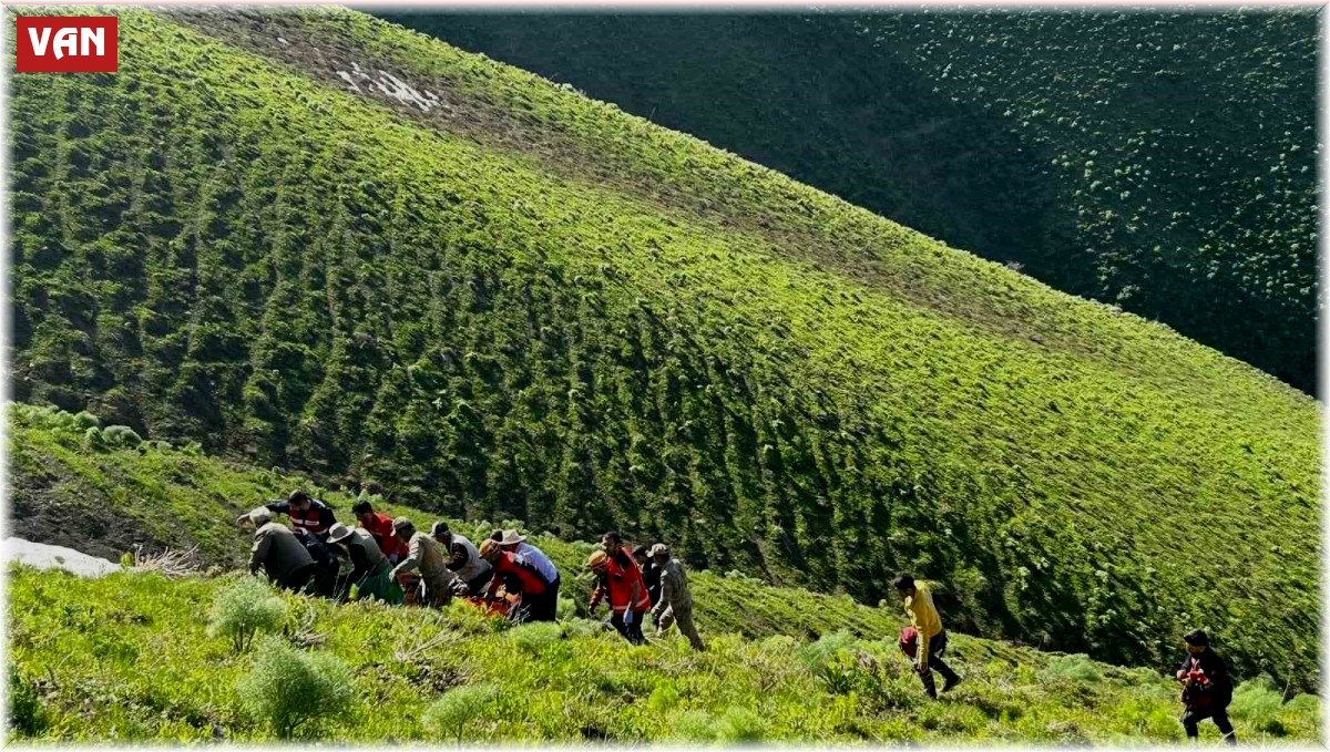 Van'da ot toplarken kayalıklardan düşen şahıs kurtarıldı