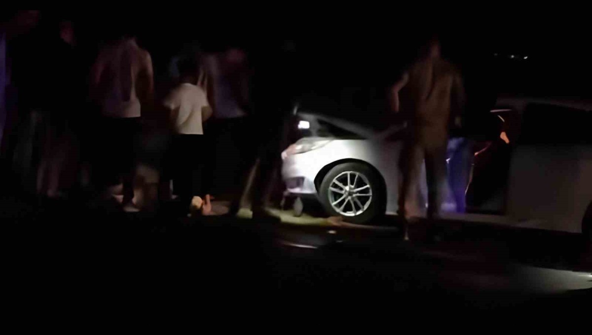 Van'da otomobil sürüye çarptı: 8 koyun telef oldu