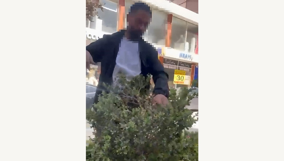 Van'da refüjdeki çiçek ve fidanlara zarar veren şahıs suçüstü yakalandı