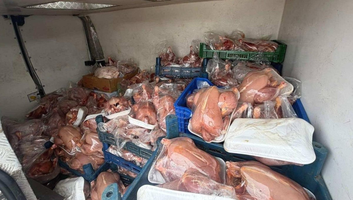 Van'da sağlık ve sevk belgeleri bulunmayan 200 tavuk ele geçirildi