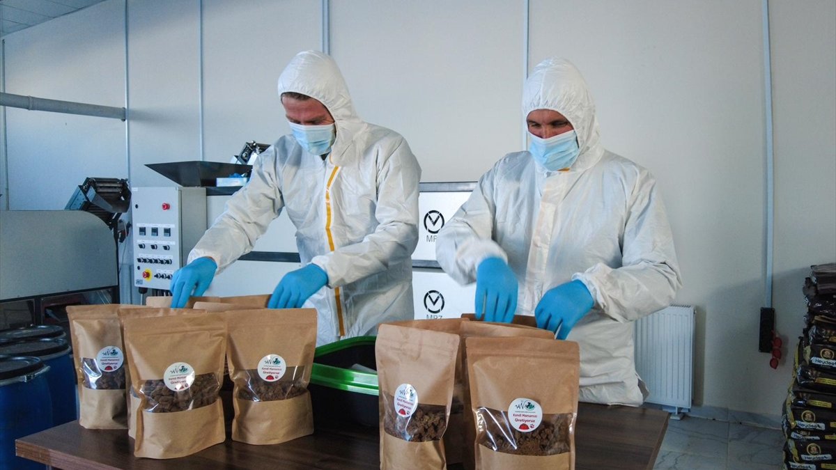 Van'da sahipsiz hayvanların beslenmesi için mama üretim tesisi kuruldu