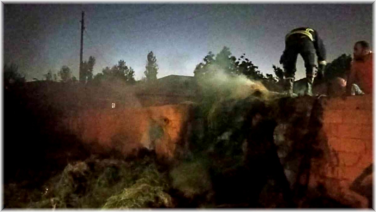 Van'da samanlık yangını