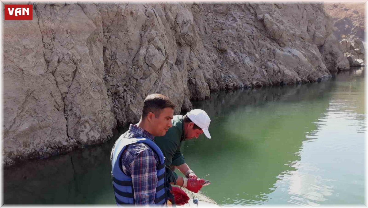 Van'da sazangiller av yasağı sona erdi