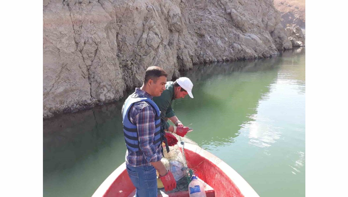 Van'da sazangiller av yasağı sona erdi